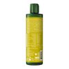 WELEDA Energy Shower Gel Ingwer